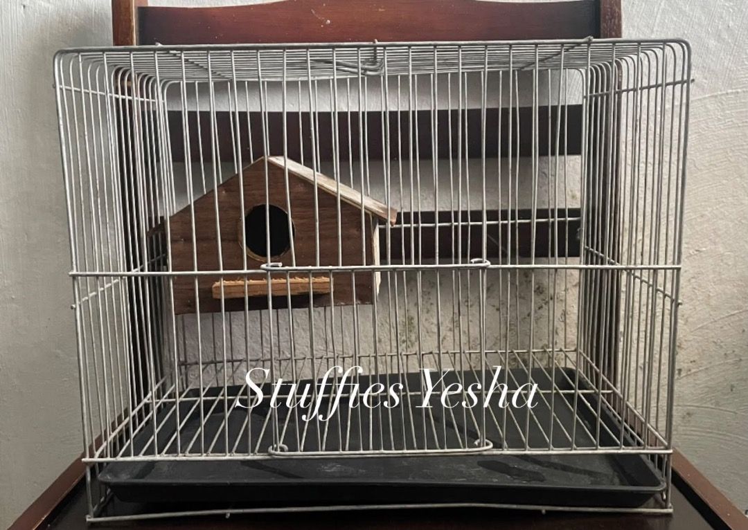 Pet Cage (Category: Homes & Other Pet Accessories) located in Manila. Submitted by stuffiesyesha (Listing ID 1467423619, Image 1). Description: 14inches Haba 11inches Taas 8.5 inches lapad .