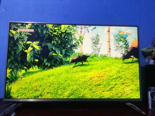 (Kategori: ) berada di . Dikirim oleh reynaldija72540 (ID iklan 1467504344, Gambar 1). Deskripsi: .