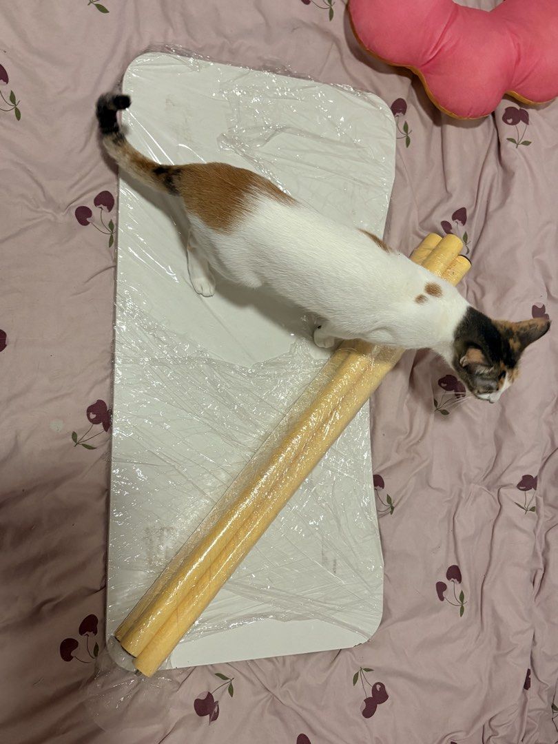 Wooden Table For sale 200 only (Category: Tables & Sets) located in Manila. Submitted by chrxstxnxqueen (Listing ID 1467401950, Image 3). Description: FS - Wooden table white top/yellow wood type legs Cats not included ha hahahaha Binili sa SHP or TKT Rfs - getting rid of gamit May mga stain sa top i think nalilinis pa sha, and may mga chip sa gilid 200 only lowest price table price.