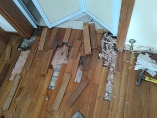 Parquet  Polish & Wood Repair Service Collection item 1