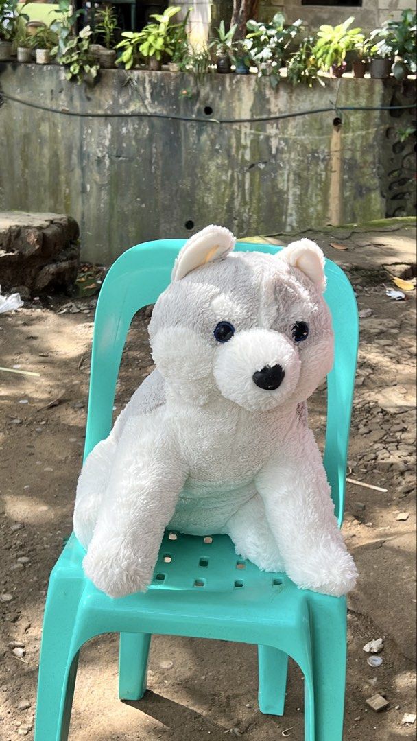 60cm Large White Husky Plush Toy 60cm (Category: Plushies & Soft Toys) located in San Jose del Monte. Submitted by faithyfairy_ (Listing ID 1467719407, Image 1). Description: - Item: Big fluffy husky plush dog - Size: Approx. 60cm long (great huggable size) - Features: Super soft white fur, dark blue eyes, black nose, and pointy ears - Condition: Clean and fluffy - Ideal for: Kids and plush toy collectors.
