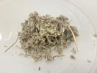 （分類：）位於 。 由 gowdaflow 提交（商品編號 1467622059，圖片 1）。簡介： 。