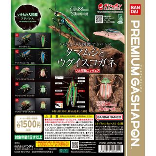 （分類：）位於 。 由 oneforallanimetoys 提交（商品編號 1467816828，圖片 1）。簡介： 。