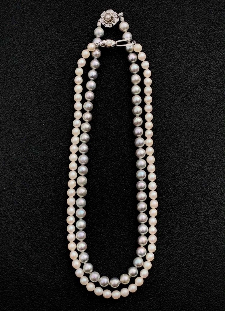 AKOYA PEARLS (Category: Necklaces) located in Bulacan. Submitted by koolstuffs_29 (Listing ID 1467696332, Image 1). Description: Imported from Japan Akoya Pearls -Shinohara Jeweler - 7.5mm-8mm Silver Blue Akoya 17” in length ₱6,500 -Silver Clasp - 6mm Cream White Akoya 17” in length ₱3,000 Marilao,Bulacan Thank you 😊.
