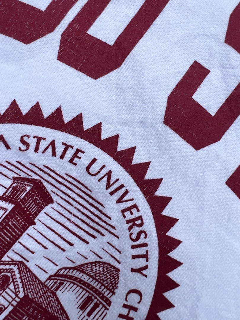 CHICO STATE UNIV BY CHAMPION PULLOVER JACKET (Category: Coats, Jackets and Outerwear) located in Caloocan City. Submitted by gothrifted (Listing ID 1467742009, Image 2). Description: CHICO STATE UNIV ARC PULLOVER CREWNECK - thrifted -size M on tag - dimes: 22x27 - fair condition *color may vary due to lighting .