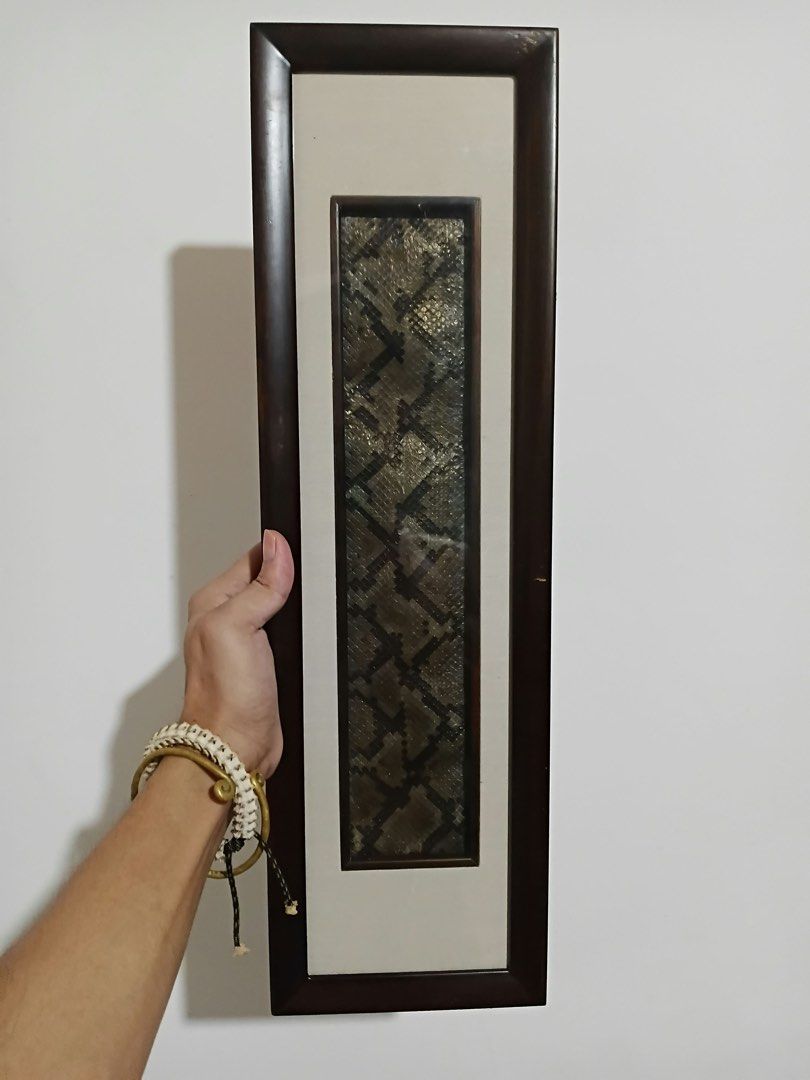 Framed authentic snake skin wall art decor (Category: Wall Decor) located in Quezon City. Submitted by turpentinechaser (Listing ID 1467700313, Image 1). Description: 6x18 inches authentic snake skin.