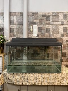 (Category: ) located in . Submitted by haiqalmos247018 (Listing ID 1467608905, Image 1). Description: .