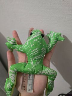 Green tree frog For Sale | Carousell Singapore