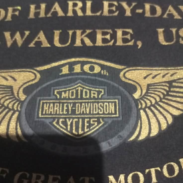 Harley Davidson Tshirt (Category: Formal Shirts) located in Cebu City. Submitted by ajwrld (Listing ID 1467603677, Image 3). Description: Excellent condition Manipis tela Colorate 8.5/10 good fade like vintage Dated 2013 Front print 10/10 normal design front Backprint 9/10 heirlines Size-large 22x28.