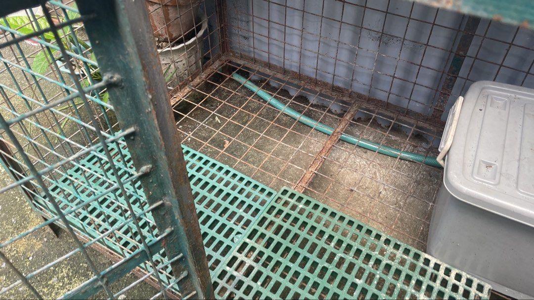 Heavy Duty Metal Dog Cage (Category: Homes & Other Pet Accessories) located in Angono. Submitted by chachiron_ (Listing ID 1467636651, Image 3). Description: 140 cm lapad 80 cm tangkad 300 pesos na lang basta self pick up Sobrang bigat po nito, heavy duty Condition: Kinalawang na. Need na irepaint at padulasin yung pinto. Hindi nagamit, naistock lang. Need 2-3 tao para mabuhat kasi mabigat. Pickup address: E.I. Cruz St. San Juan Taytay, Rizal (ne