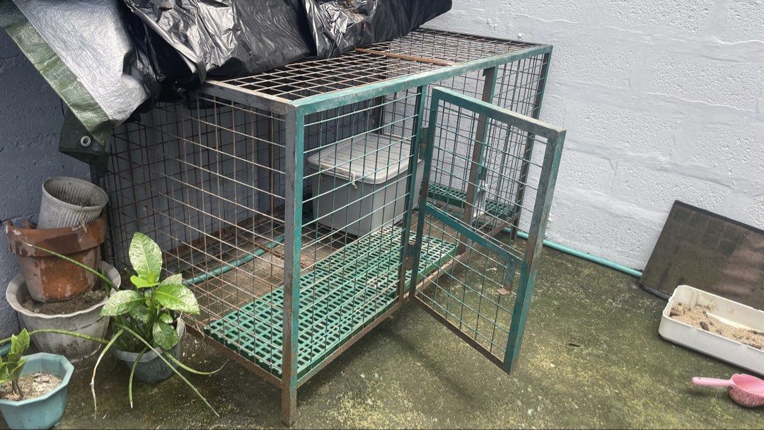 Heavy Duty Metal Dog Cage (Category: Homes & Other Pet Accessories) located in Angono. Submitted by chachiron_ (Listing ID 1467636651, Image 2). Description: 140 cm lapad 80 cm tangkad 300 pesos na lang basta self pick up Sobrang bigat po nito, heavy duty Condition: Kinalawang na. Need na irepaint at padulasin yung pinto. Hindi nagamit, naistock lang. Need 2-3 tao para mabuhat kasi mabigat. Pickup address: E.I. Cruz St. San Juan Taytay, Rizal (ne