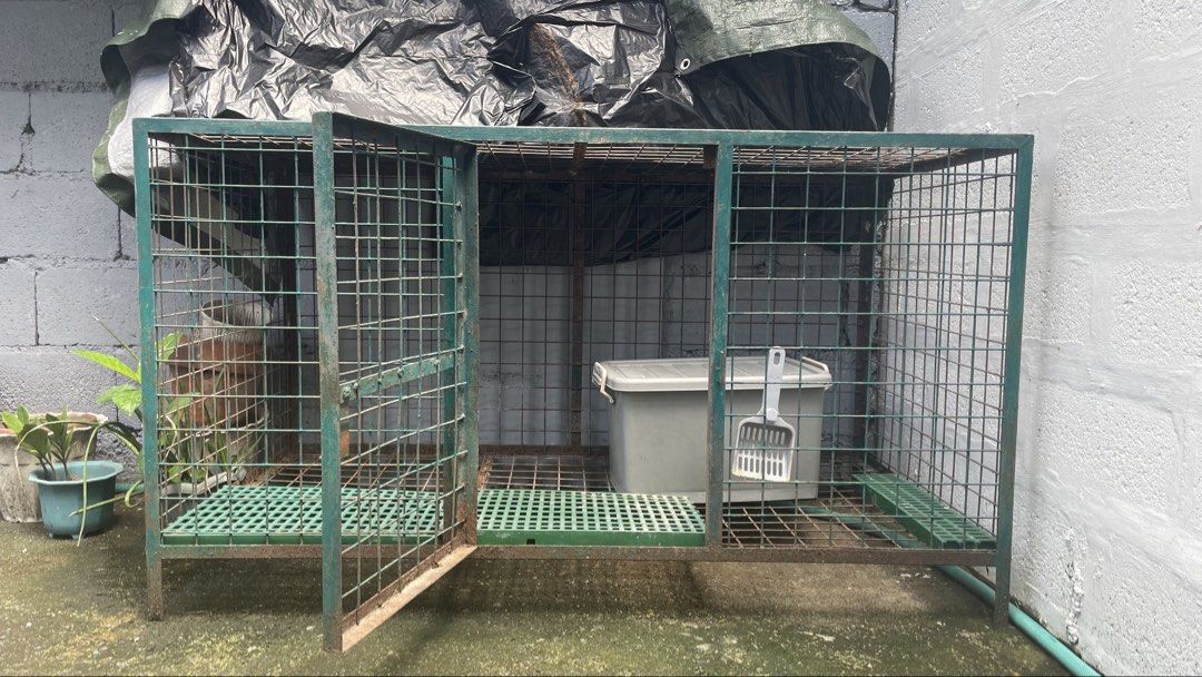 Heavy Duty Metal Dog Cage (Category: Homes & Other Pet Accessories) located in Angono. Submitted by chachiron_ (Listing ID 1467636651, Image 1). Description: 140 cm lapad 80 cm tangkad 300 pesos na lang basta self pick up Sobrang bigat po nito, heavy duty Condition: Kinalawang na. Need na irepaint at padulasin yung pinto. Hindi nagamit, naistock lang. Need 2-3 tao para mabuhat kasi mabigat. Pickup address: E.I. Cruz St. San Juan Taytay, Rizal (ne