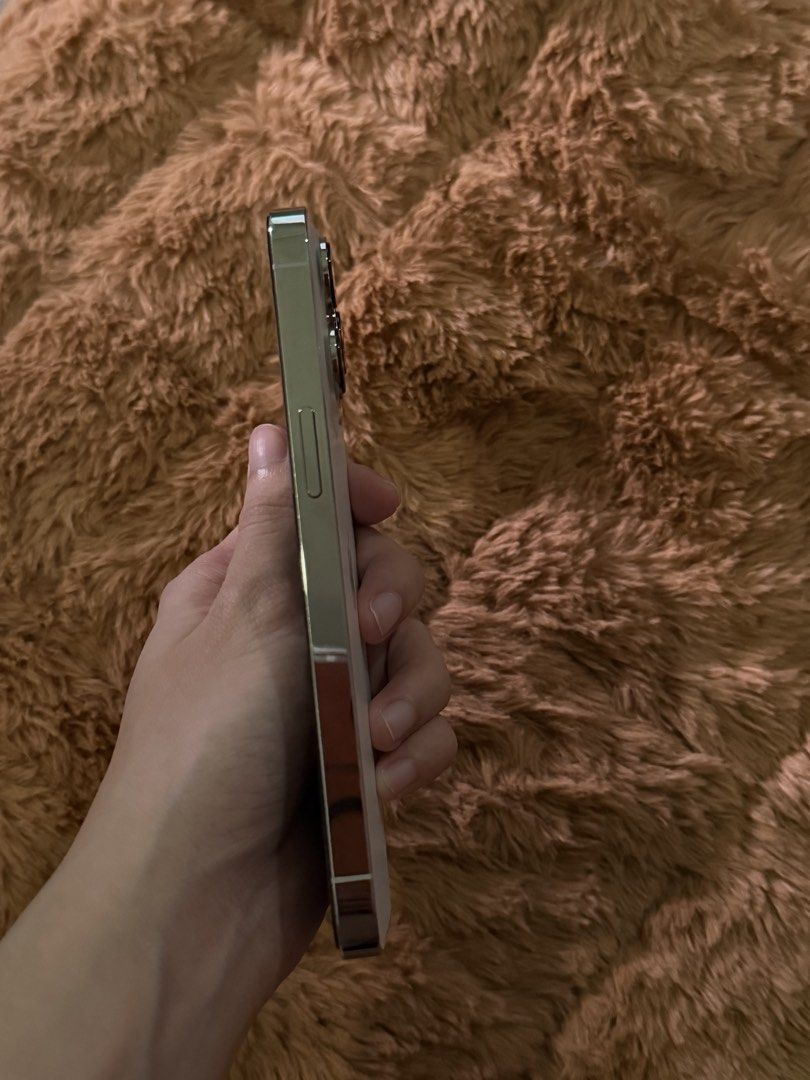 Iphone 13 pro - 256 gb (Category: iPhone 13 Series) located in Bulacan. Submitted by sheydeclutterz (Listing ID 1467819430, Image 3). Description: iphone 13 pro 256gb 70% batt health (original & matagal pa malowbat) bought from powermac with orig box, case true tone working issue: no face id napalitan lcd (original) .