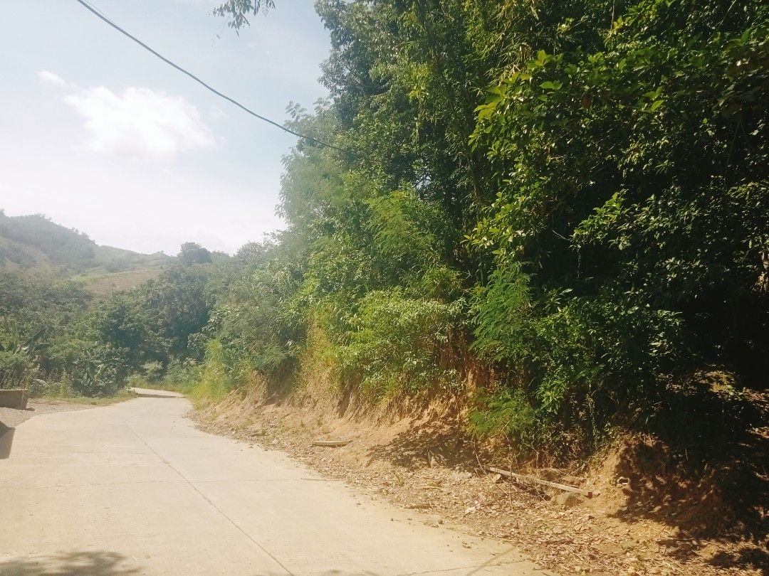 Land for sale (Category: Lot) located in Manila. Submitted by mercadowin30894 (Listing ID 1467613225, Image 2). Description: 2 hectars farm along the road.