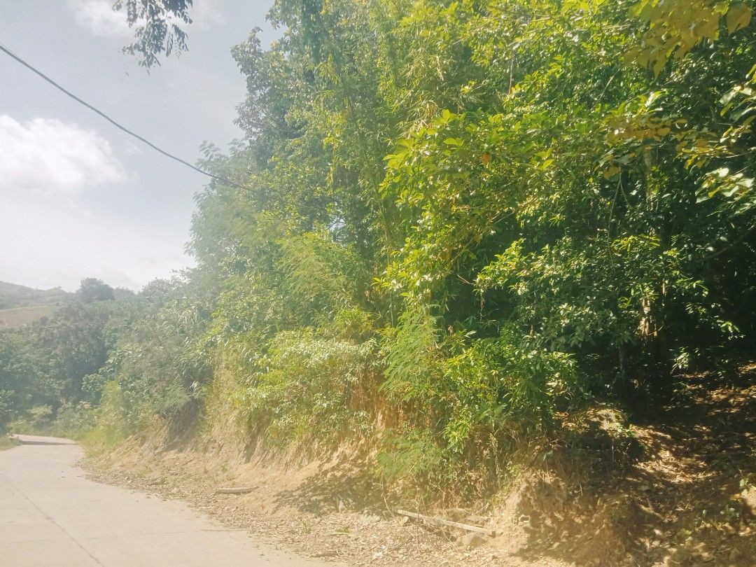 Land for sale (Category: Lot) located in Manila. Submitted by mercadowin30894 (Listing ID 1467613225, Image 1). Description: 2 hectars farm along the road.