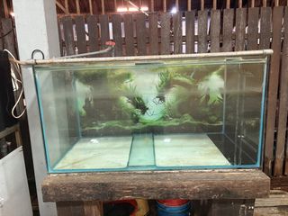 (Category: ) located in . Submitted by taghashromer (Listing ID 1467732210, Image 1). Description: .