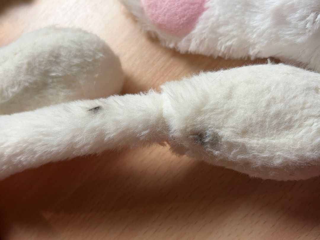 [SET] Fluffy White Fur Set (Category: Other Accessories) located in Paranaque City. Submitted by calicoe (Listing ID 1467658774, Image 2). Description: 𓂃⋆.⟢ ♱ ⟢ .⋆𓂃 ♯┆ fs : fluffy white fur set ˶ᵔ ᵕ ᵔ˶ ! condition : 9.7/10 flaws : black nail polish on the floppy ears — loc : moonwalk, parañaque city — mop : gcash only — mod : lalamove / jnt / lbc ⛓️‍💥⟢ shipping dates are every tues & fri-sun, but seller’s availability may vary ༄.ೃ࿔࿐໋˖°. .