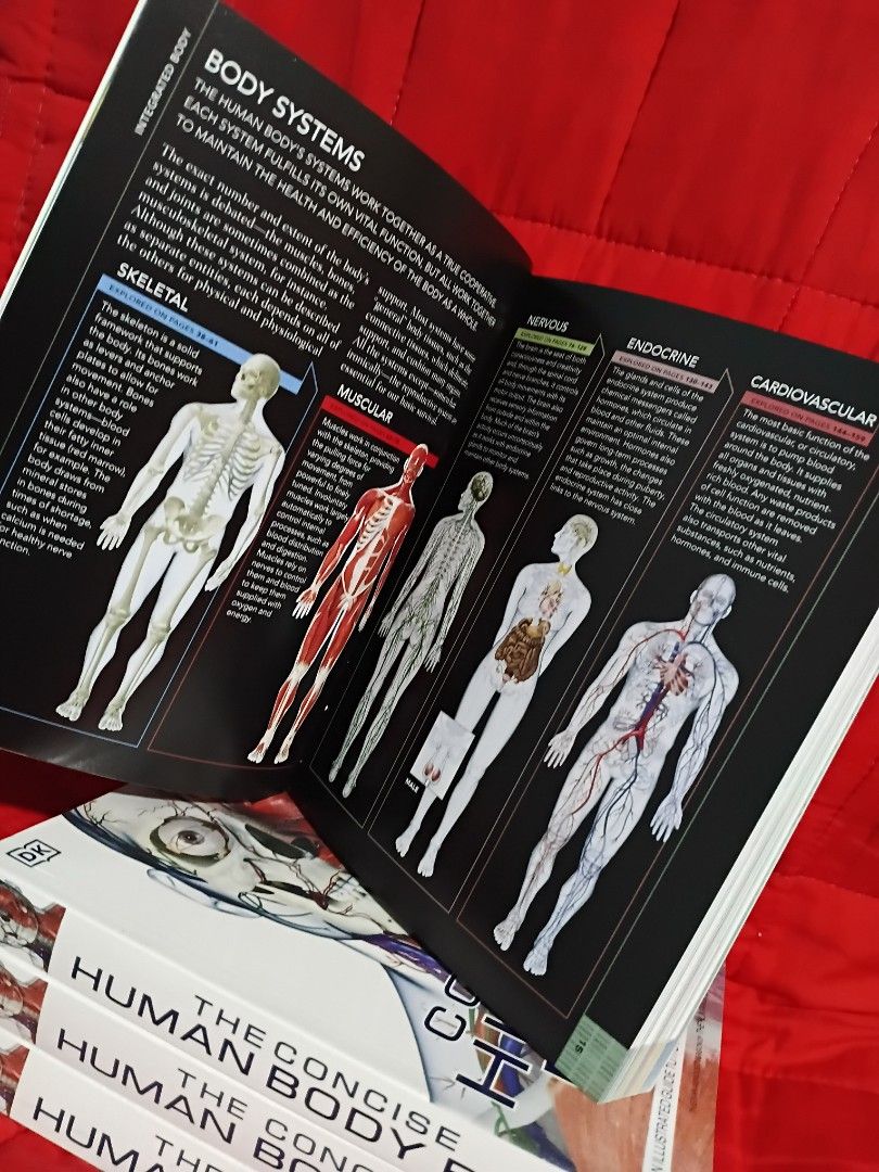 The Concise Human Body Book by Steve Parker DK (Category: Textbooks) located in Manila. Submitted by krishna_ayanami (Listing ID 1467805688, Image 3). Description: - Author: Steve Parker - Publisher: DK - Content: Detailed illustrations of body systems, organs, nephrons, and digestive tracts - Format: Hundreds of pages with clear diagrams and explanatory text - Condition: Brand new, multiple copies available - Perfect for students, self-study, or