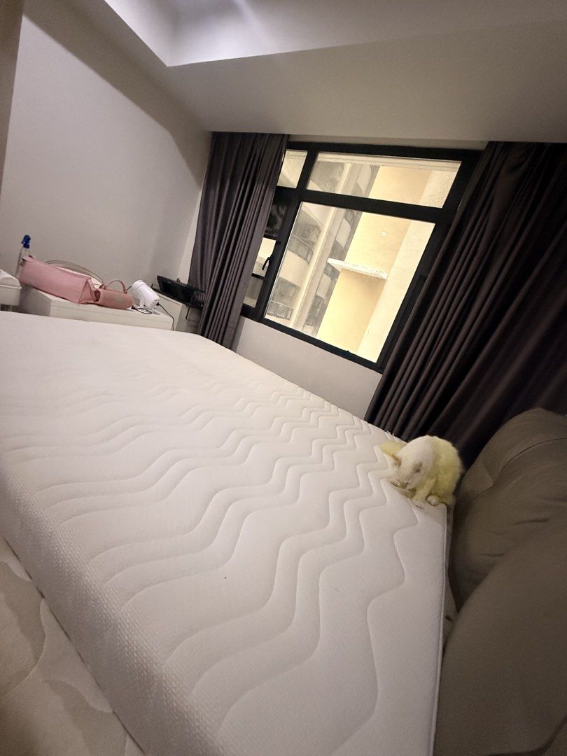 Uratex Trill Queen Mattress (Category: Bed Frames & Mattresses) located in Paranaque City. Submitted by ivy_adea15 (Listing ID 1467784940, Image 3). Description: 8 months old bought brandnew at 9k selling for 4k rfs: moving out sale.