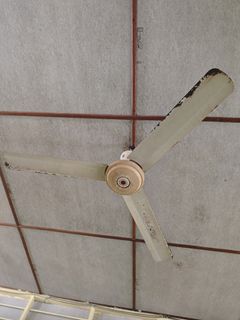 Ceiling fan For Sale | Buy 500+ Ceiling fan online | Carousell Malaysia