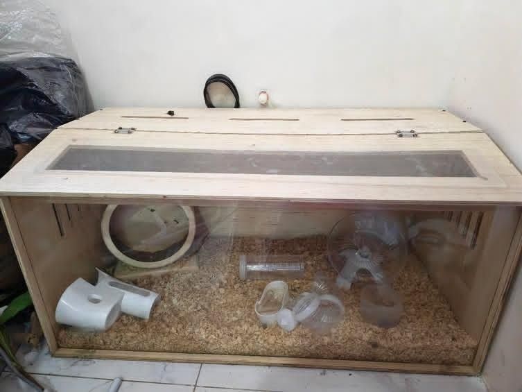 Wooden hamster cage enclosure with acrylic front panel (Category: Shelves, Cabinets & Racks) located in Manila. Submitted by philr80538 (Listing ID 1467694778, Image 2). Description: - Type: Wooden hamster enclosure with natural wood finish - Visibility: Clear acrylic front window for easy viewing - Access: Convenient top opening lids - Ventilation: Side ventilation slats for good airflow - Inclusions: Comes complete with bedding, exercise wheel,