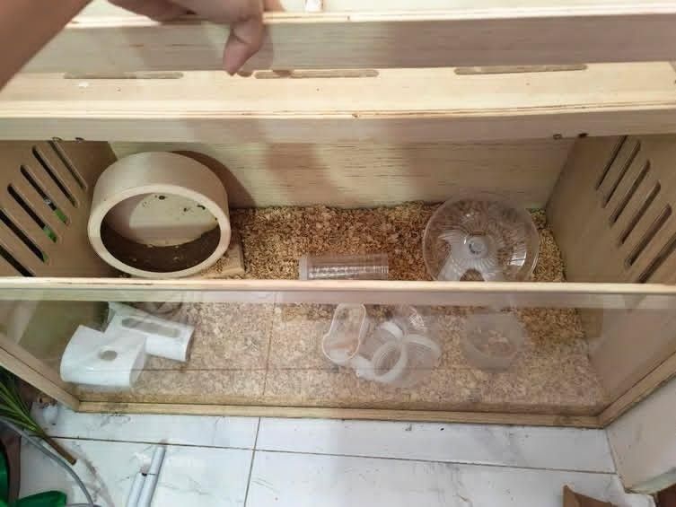 Wooden hamster cage enclosure with acrylic front panel (Category: Shelves, Cabinets & Racks) located in Manila. Submitted by philr80538 (Listing ID 1467694778, Image 3). Description: - Type: Wooden hamster enclosure with natural wood finish - Visibility: Clear acrylic front window for easy viewing - Access: Convenient top opening lids - Ventilation: Side ventilation slats for good airflow - Inclusions: Comes complete with bedding, exercise wheel,