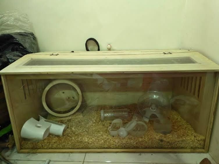 Wooden hamster cage enclosure with acrylic front panel (Category: Shelves, Cabinets & Racks) located in Manila. Submitted by philr80538 (Listing ID 1467694778, Image 1). Description: - Type: Wooden hamster enclosure with natural wood finish - Visibility: Clear acrylic front window for easy viewing - Access: Convenient top opening lids - Ventilation: Side ventilation slats for good airflow - Inclusions: Comes complete with bedding, exercise wheel,