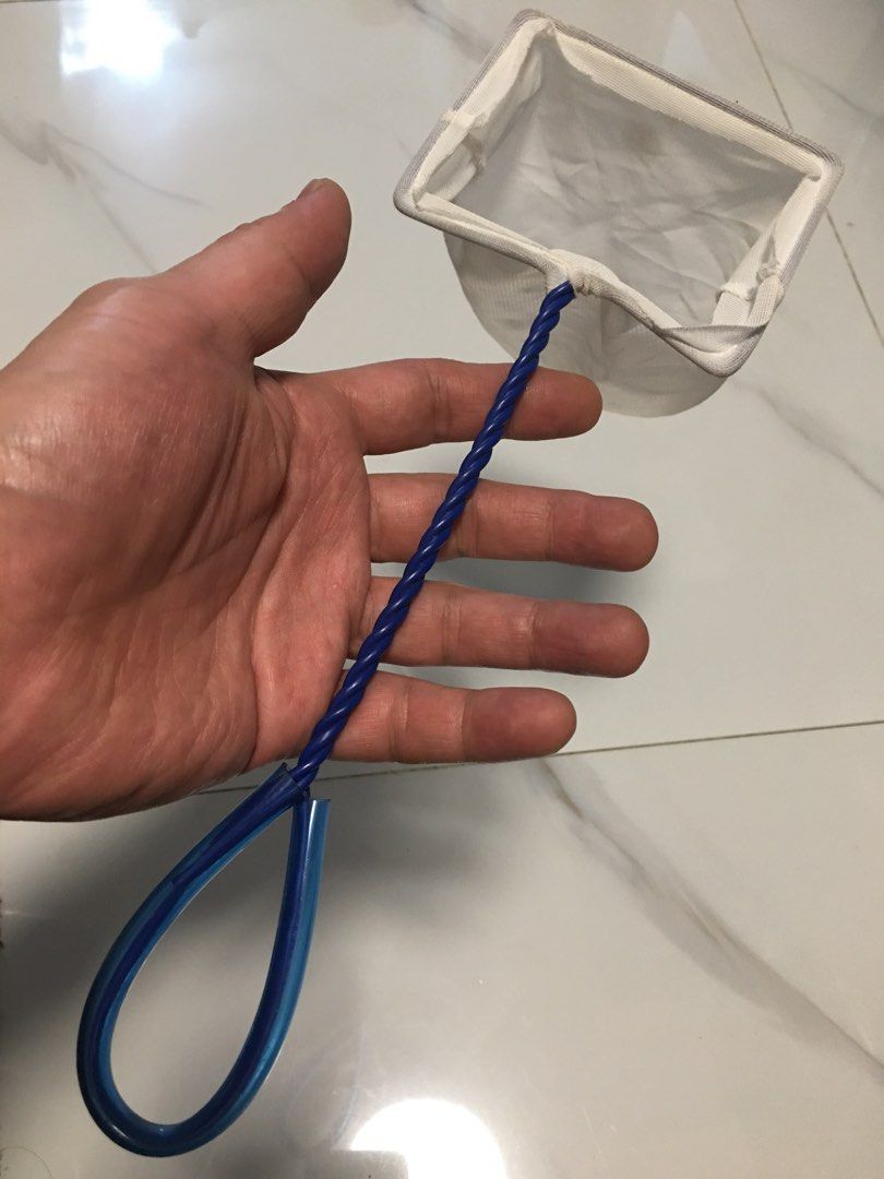 Aquarium fish net with blue plastic handle (Category: Fishing) located in Pasay City. Submitted by gilbertso62551 (Listing ID 1467927464, Image 1). Description: - Type: Small aquarium fish and shrimp net - Color: White mesh with blue plastic handle - Design: Twisted handle with a convenient hanging loop - Condition: Clean and ready for immediate tank use - As is,where is - Not BrandNew - Good condition - NO COD/COP - NO FREE SHIPPING - PAYMENT FI