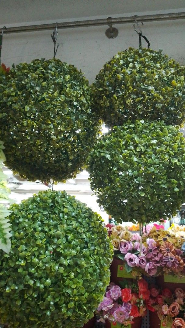 Artificial Green Leaf Topiary Balls Hanging Decor (Category: Artificial Plants & Flowers) located in Manila. Submitted by princealmheracalista (Listing ID 1467938153, Image 1). Description: Onhand item with sameday delivery and accept bulk orders. Ncr manila .