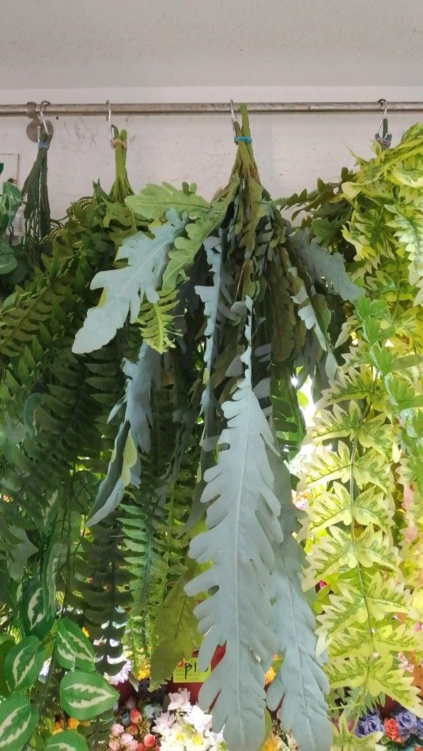 Artificial Hanging Plants Ferns and Vines Decor (Category: Artificial Plants & Flowers) located in Manila. Submitted by princealmheracalista (Listing ID 1467938757, Image 1). Description: Onhand item Open for Bulk order Sameday delivery Ncr manila .