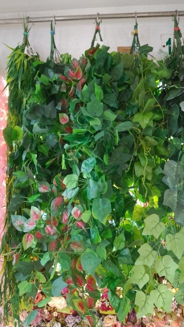 Artificial Hanging Plants Ferns and Vines Decor (Category: Artificial Plants & Flowers) located in Manila. Submitted by princealmheracalista (Listing ID 1467938757, Image 2). Description: Onhand item Open for Bulk order Sameday delivery Ncr manila .