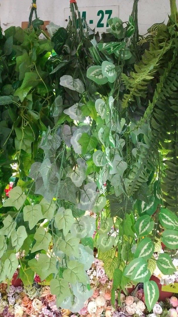 Artificial Hanging Plants Ferns and Vines Decor (Category: Artificial Plants & Flowers) located in Manila. Submitted by princealmheracalista (Listing ID 1467938757, Image 3). Description: Onhand item Open for Bulk order Sameday delivery Ncr manila .