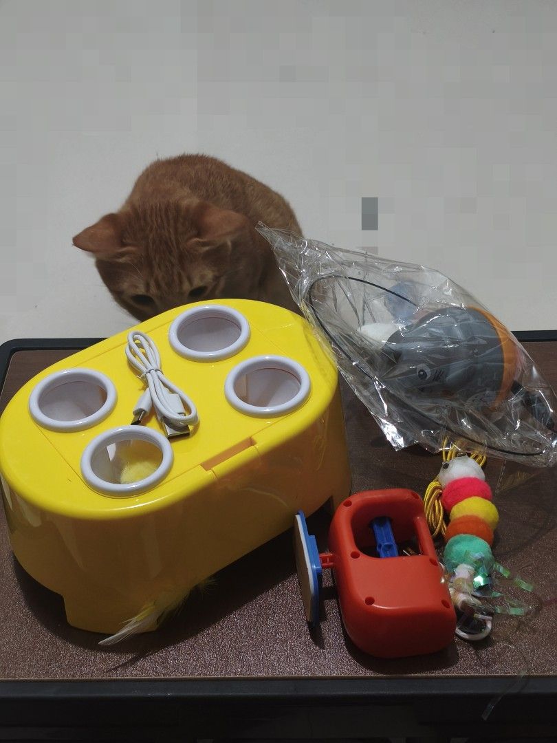 [Bundle] Interactive Electric Cat Toy + 2 Free Toy (+100 for Remote Controlled Toy) (Category: Kids Toys) located in Quezon City. Submitted by jbsv_ (Listing ID 1467879791, Image 2). Description: Product Overview: 🐱 Keeps your cat entertained, active, and boredom-free for hours. 🐭 Features a fun "whack-a-mole" style pop-out action to stimulate natural hunting instincts. 🪶 Includes a bottom rotating feather teaser for extra playtime fun. Key Fe