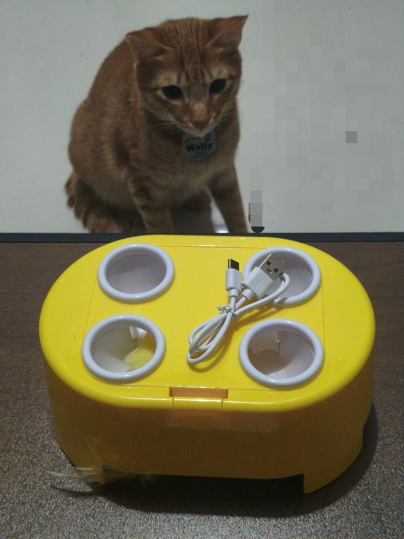 [Bundle] Interactive Electric Cat Toy + 2 Free Toy (+100 for Remote Controlled Toy) (Category: Kids Toys) located in Quezon City. Submitted by jbsv_ (Listing ID 1467879791, Image 3). Description: Product Overview: 🐱 Keeps your cat entertained, active, and boredom-free for hours. 🐭 Features a fun "whack-a-mole" style pop-out action to stimulate natural hunting instincts. 🪶 Includes a bottom rotating feather teaser for extra playtime fun. Key Fe