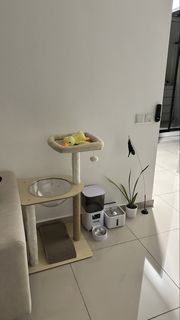 (Category: ) located in . Submitted by farahsapian_ (Listing ID 1468002447, Image 1). Description: .