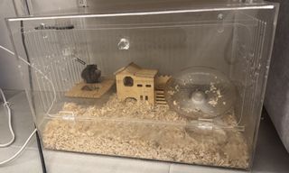 (Category: ) located in . Submitted by hazellllll (Listing ID 1467958427, Image 1). Description: .