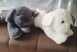 (Category: ) located in . Submitted by cheersie (Listing ID 1467861716, Image 1). Description: .