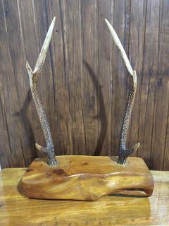 (Category: ) located in . Submitted by queenlyne_vintage_rare_finds (Listing ID 1468056789, Image 1). Description: .