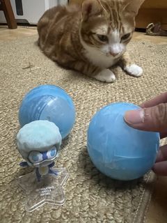 （分類：）位於 。 由 Ruuuu1 提交（商品編號 1467946477，圖片 1）。簡介： 。