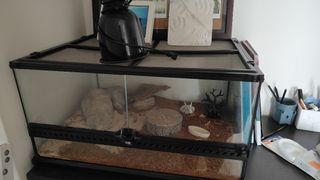 (Category: ) located in . Submitted by putyaya (Listing ID 1467885129, Image 1). Description: .