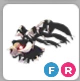 (Category: ) located in . Submitted by adoptmemaster123 (Listing ID 1467900555, Image 1). Description: .