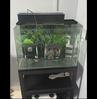 (Category: ) located in . Submitted by nervefixstudio (Listing ID 1467869684, Image 1). Description: .