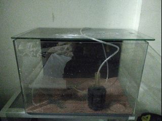 (Category: ) located in . Submitted by darkriderz11975 (Listing ID 1467897163, Image 1). Description: .
