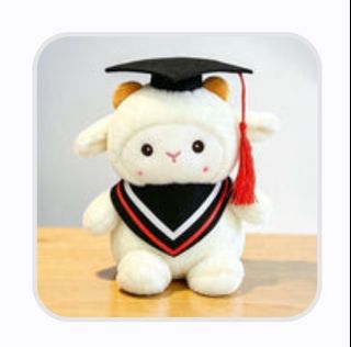 Graduation soft toy NUS Commencement Class of 2026 Plush Toy Set, Toys ...