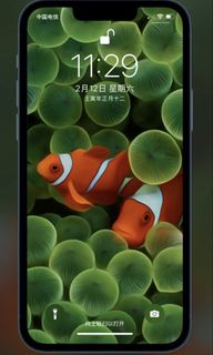 （分類：）位於 。 由 swiftgem.04dfa0 提交（商品編號 1464819609，圖片 1）。簡介： 。