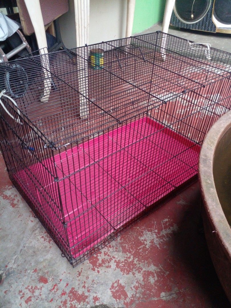 Large bird cage (Category: Homes & Other Pet Accessories) located in Quezon City. Submitted by madelrivera (Listing ID 1467997397, Image 2). Description: large bird cage for sale.