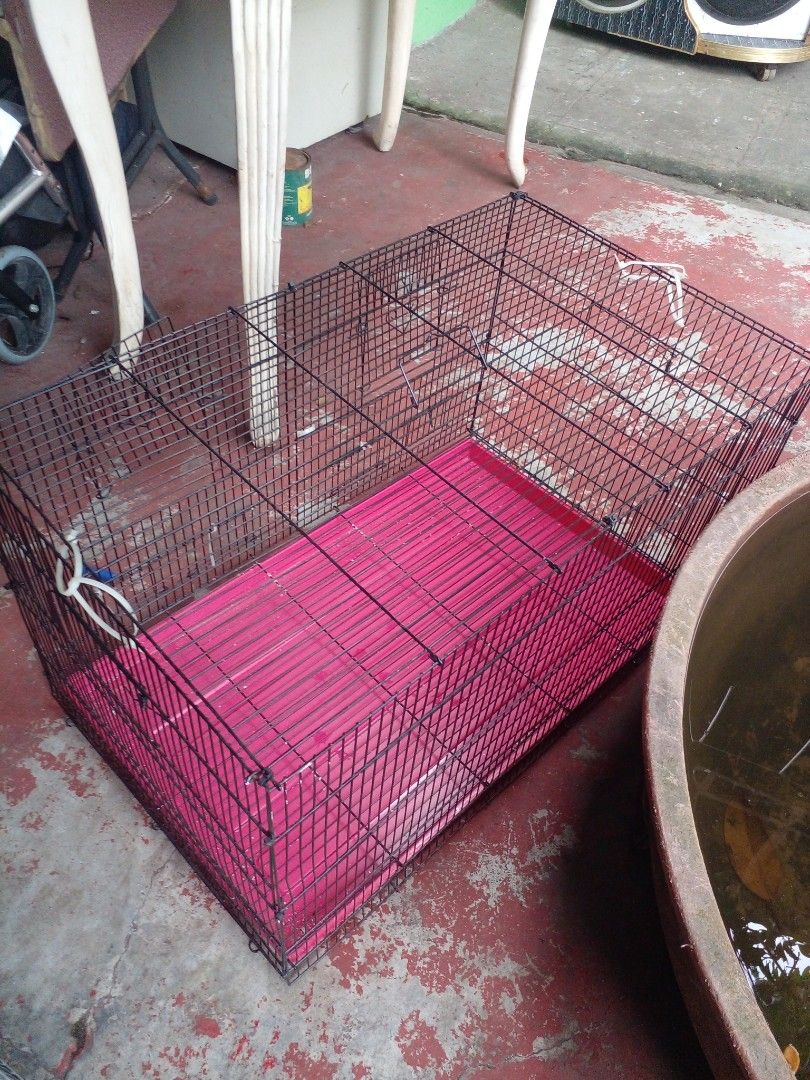 Large bird cage (Category: Homes & Other Pet Accessories) located in Quezon City. Submitted by madelrivera (Listing ID 1467997397, Image 1). Description: large bird cage for sale.