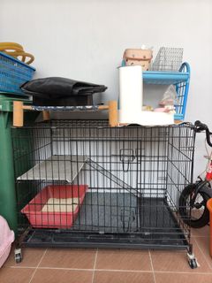(Category: ) located in . Submitted by lynnfn (Listing ID 1467912559, Image 1). Description: .