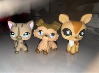 (Category: ) located in . Submitted by nakmuayjai (Listing ID 1467970952, Image 1). Description: .