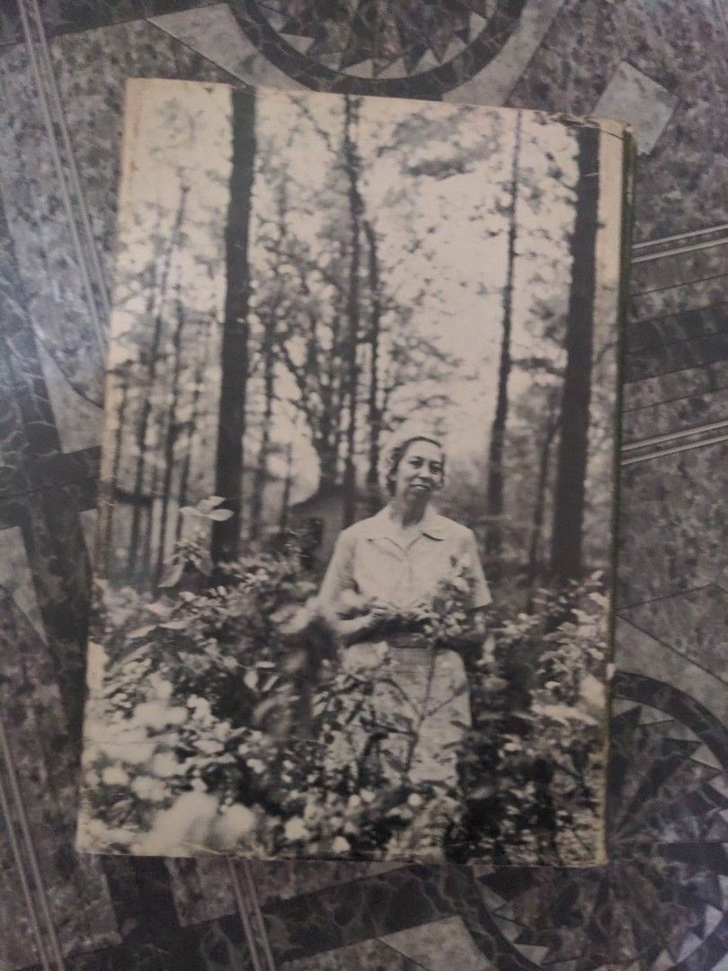 Losing Battles, Eudora Welty (Category: Storybooks) located in Baguio. Submitted by fosterthe (Listing ID 1467910089, Image 2). Description: see photos for condition DJ: acceptable book: vgc gcash/j&t losing battles eudora welty hardcover.